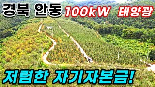 [경북 안동] 100kW 태양광발전소 12구좌 | 24년 3월 상업운전