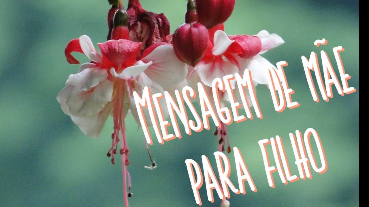 Mensagem de mãe para filho | Mensagens do coração.