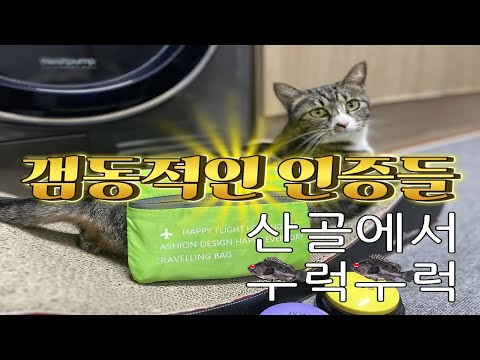 [영양군] 산골에서 우럭우럭(산디다스 인증이야기)