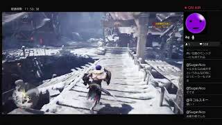 【モンスターハンターワールド アイスボーン】 初見 15