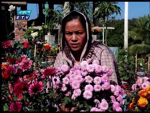 বান্দরবানে বৃদ্ধি পাচ্ছে ফুল চাষ