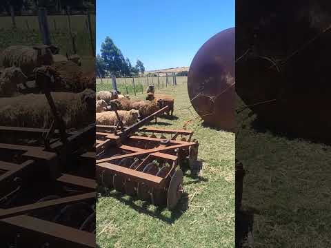 levando a caixa d'água,pra instalar o tempo ☀️ não chove muito seco rio grande do sul (tupancireta)