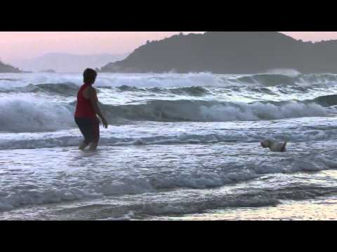 Vovó e netinha canina Maya Louise brincando na praia