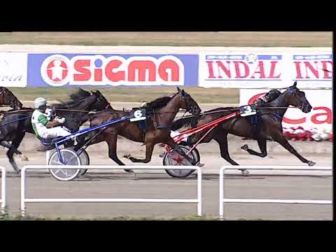 Napoli Trotto 19/09/2023 - 1ª corsa