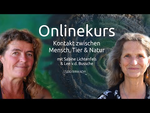 KOOPERATION MIT ALLEN WESEN – KONTAKT ZWISCHEN MENSCH, TIER & NATUR