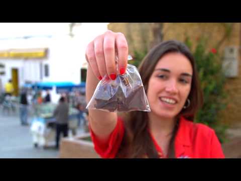 Seaside in Spain | Conil de la Frontera