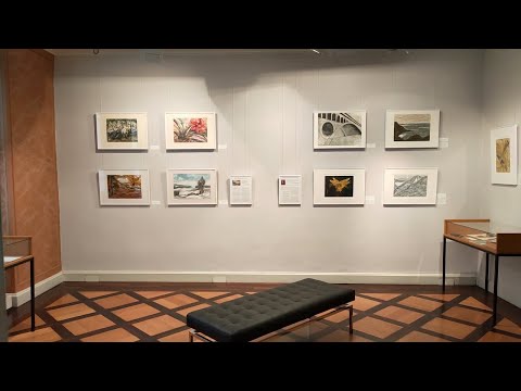 Natur als Quelle der Inspiration – Künstler Günter Weiß