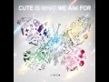 Cute Is What We Aim For - Loser