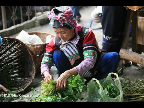 Conservar los sistemas agrícolas ancestrales
