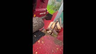 Dalen 2054 log splitter | Image 4 - Agroline