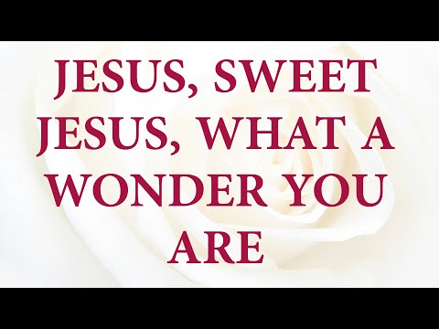 Jesus, Sweet Jesus, What a wonder you are - Divine Hymns - Lyrics Video