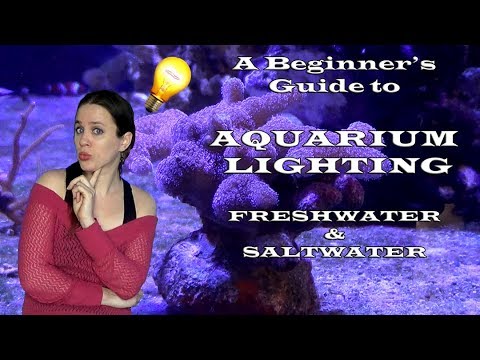 All about aquarium lightings
