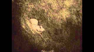 THORNGOTH - LEERE VI