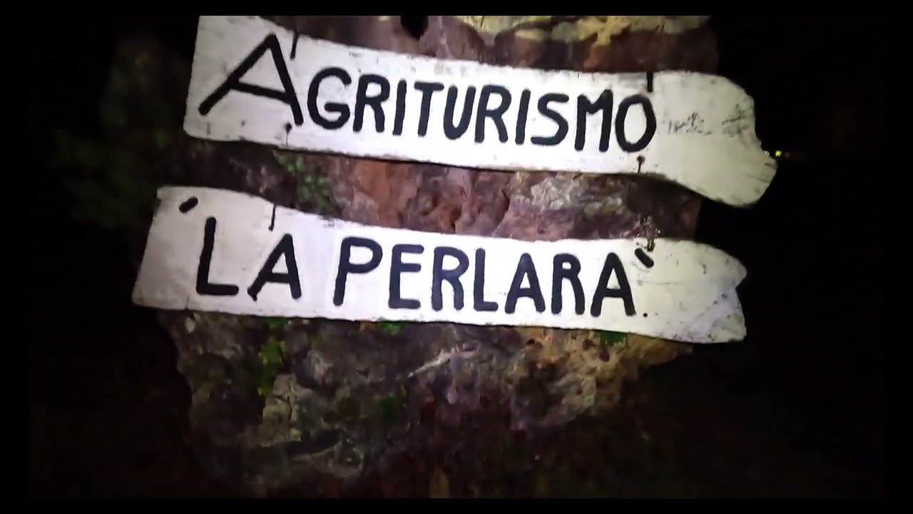 Video La Perlara