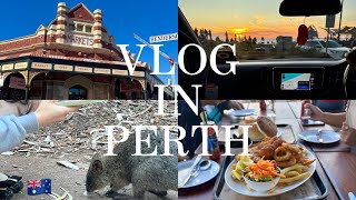 【Vlog】オーストラリア・パースで大自然に触れる旅🇦🇺✈︎🐨🌿