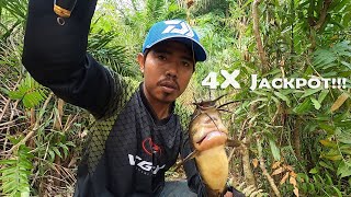 Download lagu Pemancing liar yang sangat beruntung spot mancing ikan betok rawa #SG-63 mp3