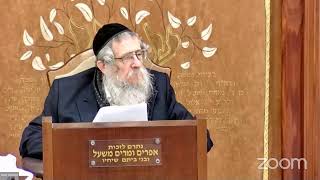 הרה"ג הרב וועכטר שליט"א י"א כסלו תשפ"ד - ליקוטי שיחות חלק כ"ה שיחה י"ט כסלו חלק ב (הרב אברהם מנחם מענדל וכטר) - התמונה מוצגת ישירות מתוך אתר האינטרנט יוטיוב. זכויות היוצרים בתמונה שייכות ליוצרה. קישור קרדיט למקור התוכן נמצא בתוך דף הסרטון