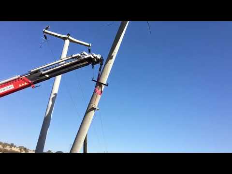 Direk dikimi Özgüven Vinç