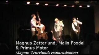 Magnus Zetterlund, Malin Foxdal & Primus Motor - 2 polskor