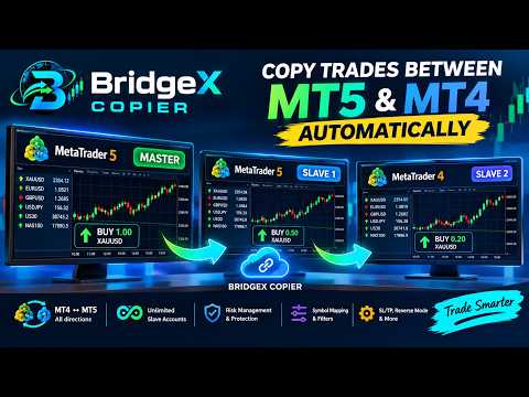 Video BridgeX Copier