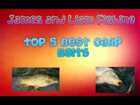 Top 5 Best Carp Baits (in our opinion)