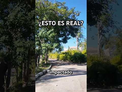 CUBA EN RUINAS: Así está EL RECREO en San Miguel del Padrón, La Habana Enero 2026