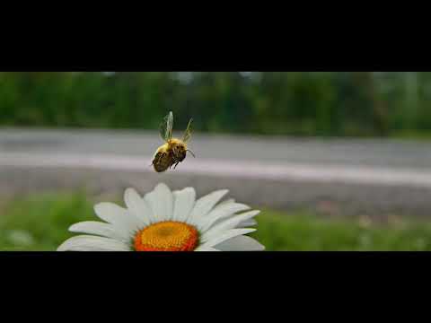 Quicksilver  Saves Everyone From Exploding X –Mansion  X– Men Apocalypse (2016)