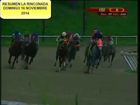 RESUMEN LA RINCONADA DOMINGO 16 NOVIEMBRE 2014
