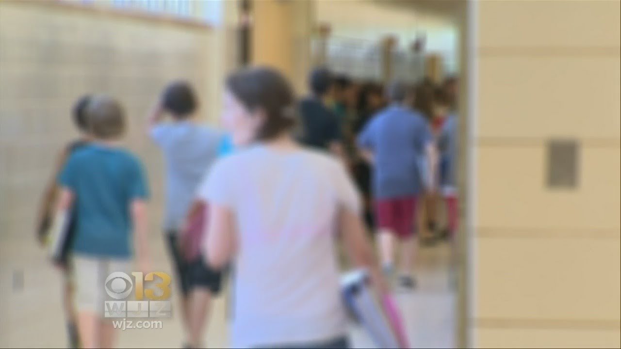 Poll Reveals Most Teachers Oppose Being Armed With Guns In Schools