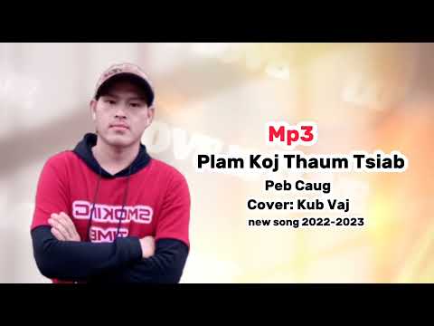 plam koj thaum tsiab peb caug // cover kub vaj // 2022-2023