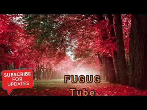 Fandishe Mul'ata   Sirboota Durii Jaalatamo Dhabaman Keessa