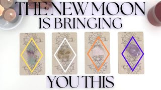 THE NEW MOON IS BRINGING THIS GIFT TO YOUR LIFE (Pick A Card) Psychic Tarot Reading