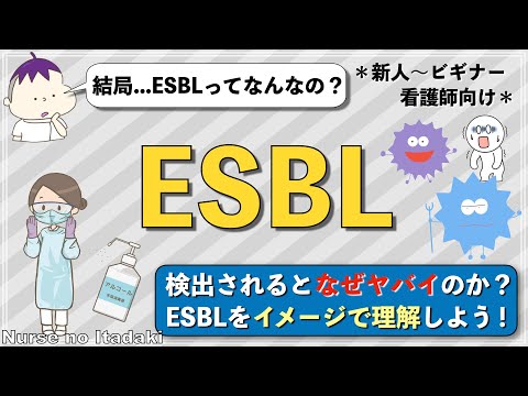 エルシニア・エンテロコリチカについて詳しく解説