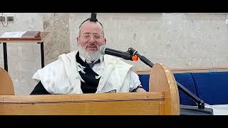 הרב יצחק לוי | רב העיר נשר | הלכה יומית י"ח תמוז | ברכת שהחיינו בימי בין המצרים (הרב יצחק לוי) - התמונה מוצגת ישירות מתוך אתר האינטרנט יוטיוב. זכויות היוצרים בתמונה שייכות ליוצרה. קישור קרדיט למקור התוכן נמצא בתוך דף הסרטון