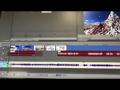 Optibotimus Editing: Funko Disney Baloo and Scrooge McDuck