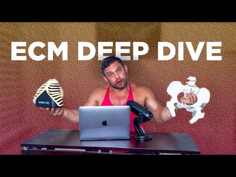 Epic Biomechanics Q&A (part 1)