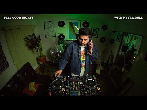 Feel Good Nights 006 | Disco House Mix | Never Dull DJ Set