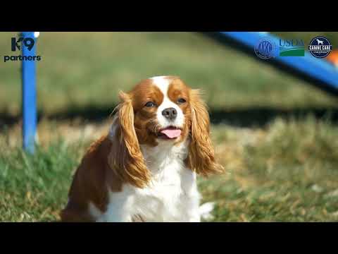 Breeder Tour 68