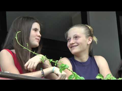 RACING REVIEW - 16th Meeting - The Barbé Cup 2019