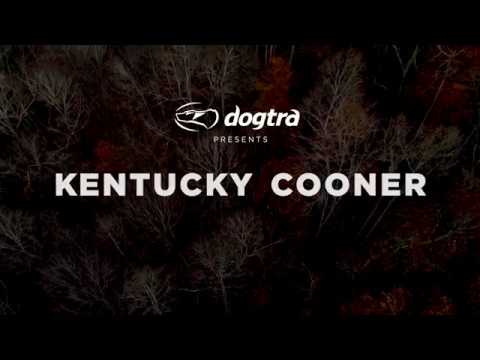 Dogtra Pathfinder Video