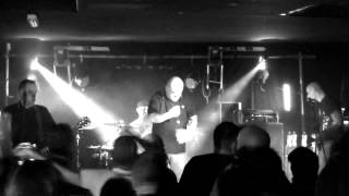 Argy Bargy Live @ The Hairy Dog Derby 5/4/14