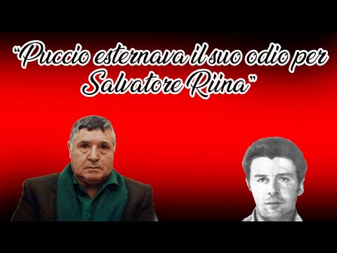 "Puccio era aggressivo con Riina" Giuseppe Marchese racconta la morte di Puccio processo Puccio