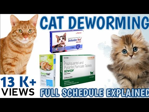 CAT DEWORMING! CAT CARE