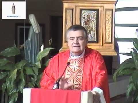 Homilía. La exaltación de la Santa Cruz 14/09/18 P. Santiago Martín, FM