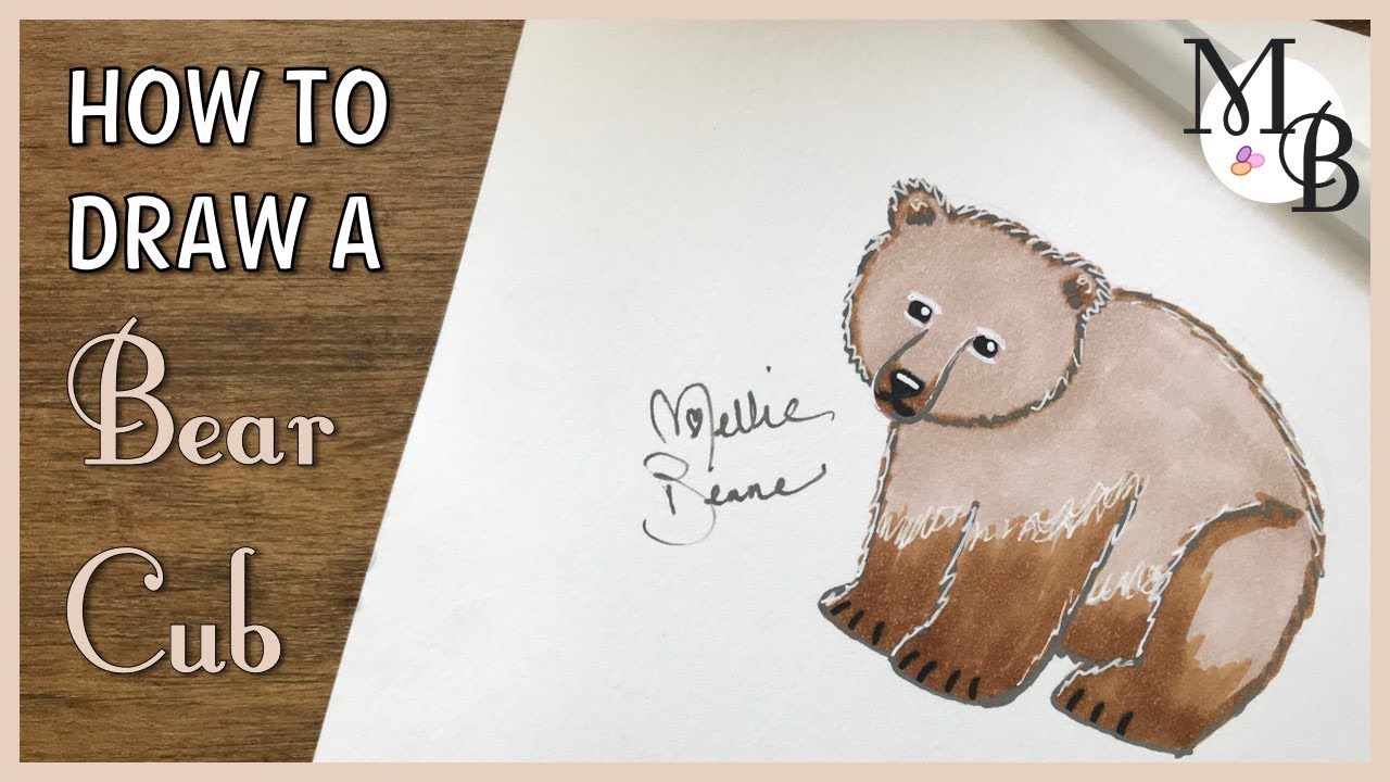 How to Draw a Bear Cub