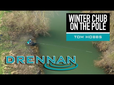 Winter Chub on the Pole | Tom Hobbs | Pole Fishing