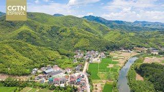 El camino hacia la prosperidad：El crecimiento ecológico de China