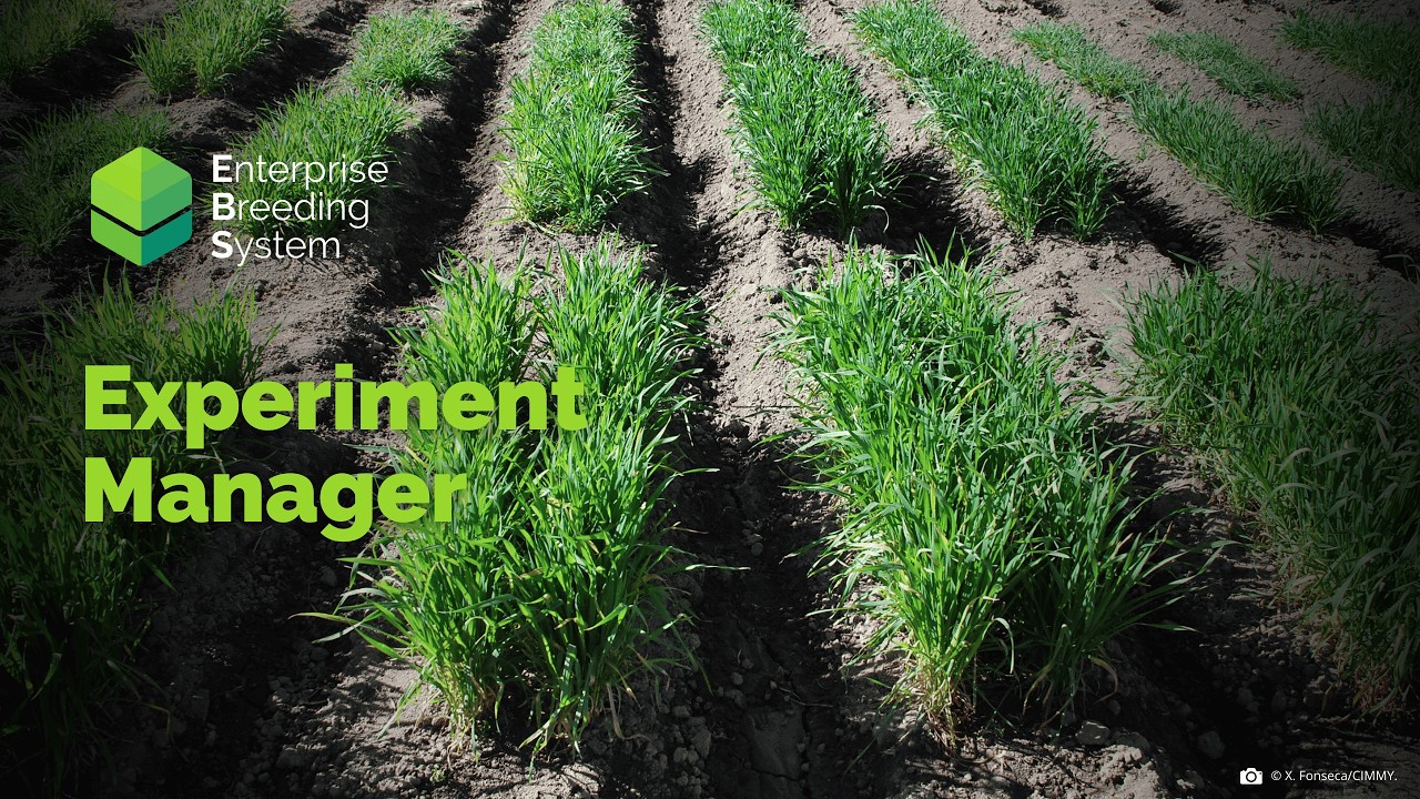 EBS CB: Experiment Manager