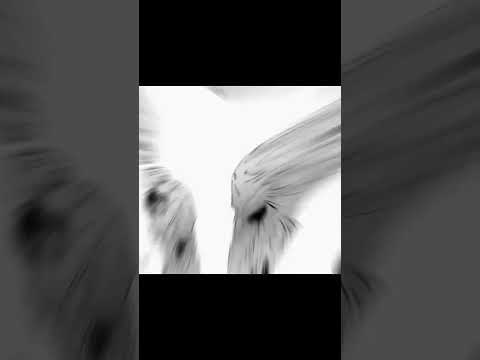 PAPAI DENJI♥️ #shorts #chainsawman #denji #nayuta #anime