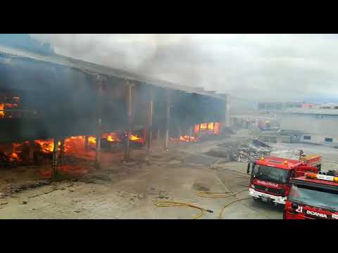 Maderas de Lekeitio sutea